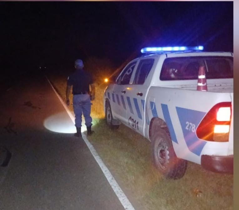 Recuperan motocicleta y una garrafa robadas tras un operativo policial