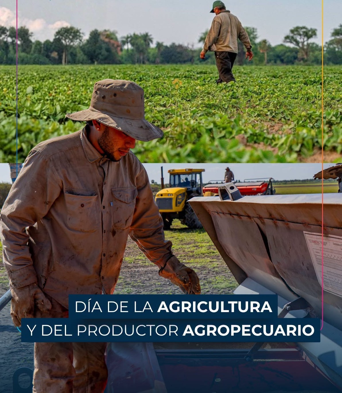 DÍA DE LA AGRICULTURA Y DEL PRODUCTOR AGROPECUARIO