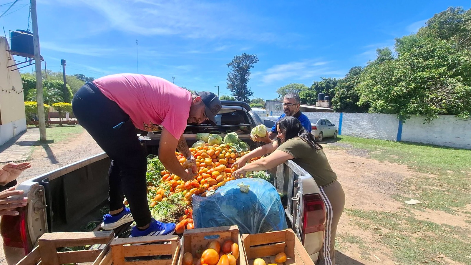 Buena Vista: entregaron verduras para fortalecer la alimentación escolar