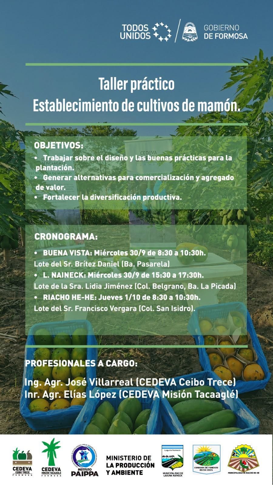 PRODUCCIÓN: IMPULSAN TALLERES PRÁCTICOS PARA FORTALECER EL CULTIVO DE MAMÓN